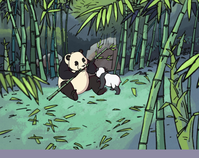 Image du film : les pandas